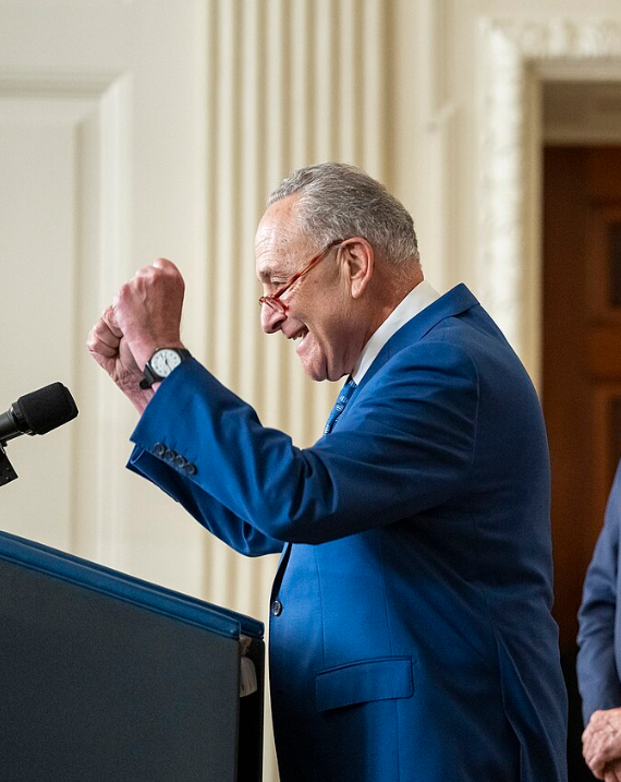 Schumer Tried to Talk Corruption — Then a Protester Reminded Him of His Own Record
